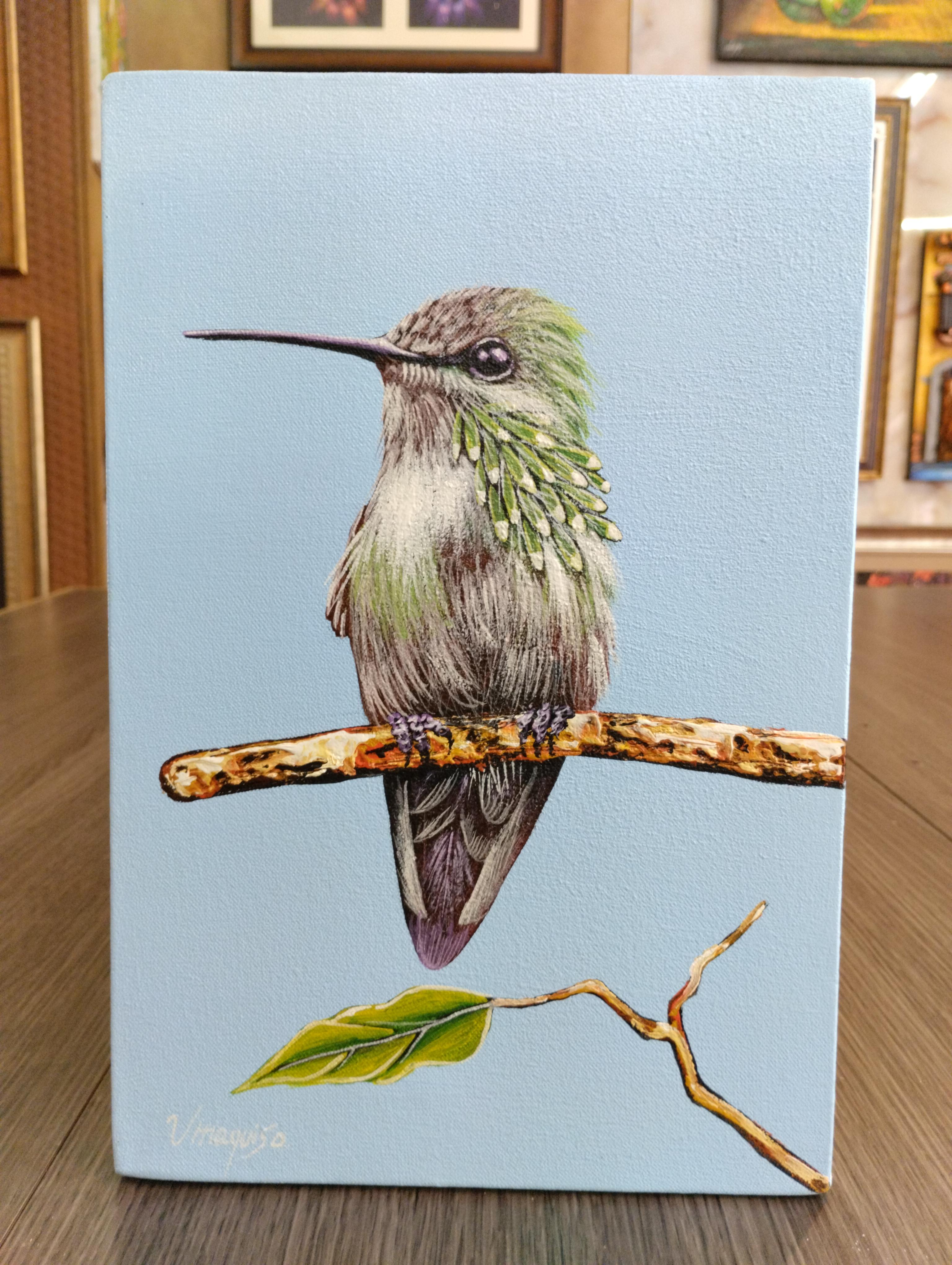 Colibri Ecos de la Niebla. Colibri de colores suaves rodeado de hojas verdes sobre fondo gris texturizado, creando un ambiente sereno con contraste delicado.